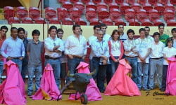 Actividade da Academia de Toureio do Campo Pequeno